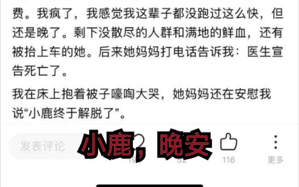 小鹿，晚安……227过去了，325却忘不了