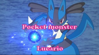 Pocket monster 45 - Lucario
