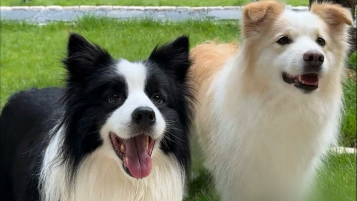 Sobat baik di internet akhirnya bertemu langsung!