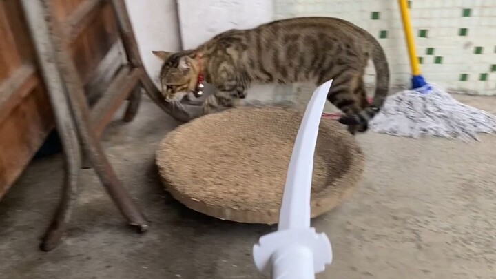 Are you looking for this sword?
