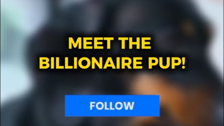 MEET THE BILLIONAIRE PUP! 😱
