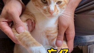 呀！小碧仔汁~