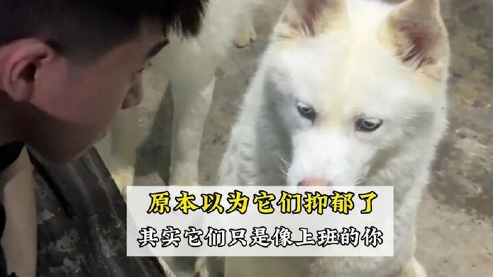 การพลิกโผทำเอาฉันเตรียมตัวไม่ทัน คุณนึกว่ามันกำลังซึมเศร้า ที่แท้มันก็คือ ‘คุณ’ ในยามทำงานนั่นเอง!