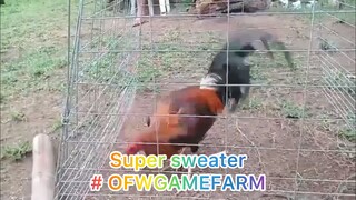 Super sweater mike mendoza line& Mt.Banahaw line# OFWGAMEFARM