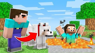 NOOB PRANKED PRO As a DOG in MINECRAFT ! Noob Vs Pro Like Maizen Mikey and JJ