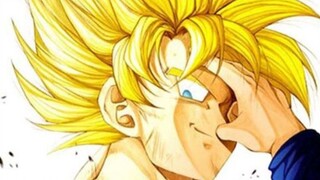 [AMV|Dragon Ball]In Memory of the Finale|BGM: HERO ~希望の歌~
