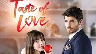 TASTE OF LOVE episode 14 Turkish drama Tagalog dubbed