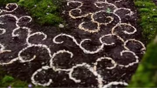 881 K vues · 26 K  European Land Art Festival