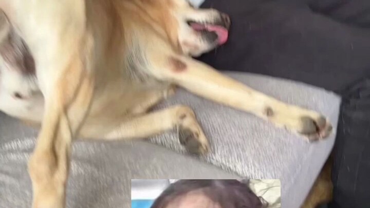 عندما يسألك والداك عن السعر الحقيقي~~~~~