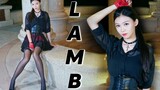 Lamb' Dance Cover | A Golden Odie