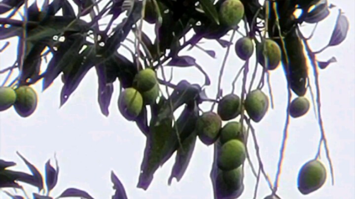 không nên trộm cắp :))