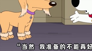 Family Guy: Brian mengikuti kompetisi mencari pacar, tapi harus tampil di depan semua orang!