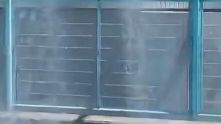 The Real Child Abandoned by Heaven #Makoto Shinkai #Weathering With You #Anime #Funny #