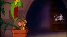 TOM and JERRY Kids แผ่น 3 ทอม แอนด์ เจอร์รี่ คิดส์ พากย์ไทย