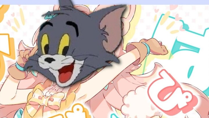 Tom's Papipapipa
