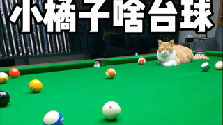 Tiểu Quýt xuất hiện