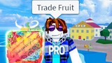 The Roblox Blox Fruits Experience 5