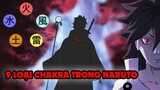 Bí Ẩn 9 Loại Chakra Từng Xuất Hiện Trong Naruto Không Phải Ai Cũng Biết