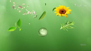 Malam Puncak 28 Puteri Indonesia 2025 (SCTV) 2/5/2025