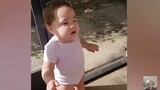 Funny Baby Meet Animals For The First Time __ Cool Peachy