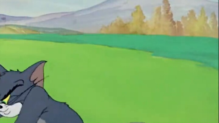 👆🤓Are you exhausted? Hajire⚡️⚡️⚡️