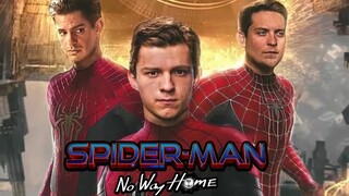 Tom Holland Hints Spider-Man: No Way Home May Be The End For Spider-Man In MCU