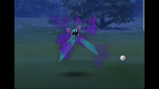 Pokémon GO-Shadow Zubat