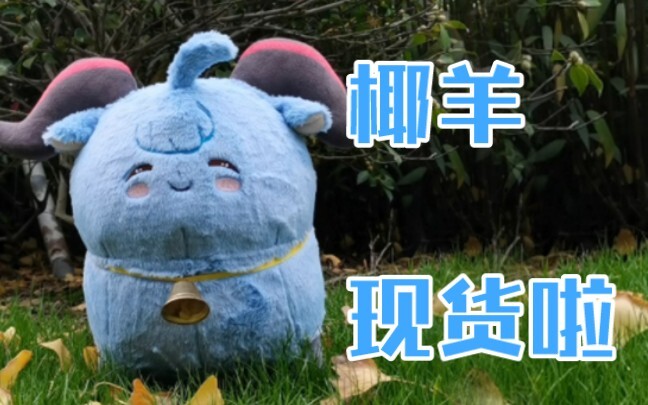 Coconut sheep are in stock now! Oh oh oh!