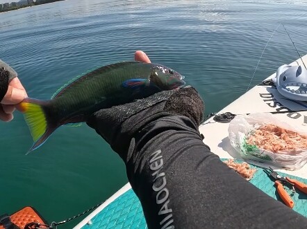 เมื่อตกปลาลูอาบ่อยๆ อาจทำให้คนกลายเป็นคนเก็บตัว