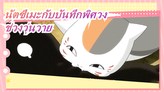 นัตซึเมะกับบันทึกพิศวง |ความวุ่นวายของเนียงโกะ! นัตสึเมะ เตือน!