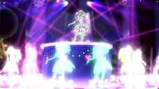 PriPara - 0-week-old (Stage)