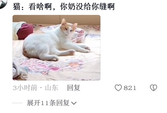 “Grandma sewed a pillow for the cat”