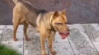 修勾：我飞过来的。。。