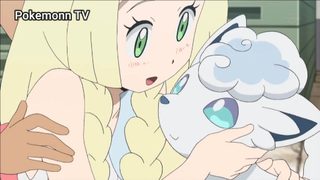 Pokemon Sun & Moon (Ep 14.3) Sự gắn kết giữa Lilie và Shiron #Pokemon_tap14