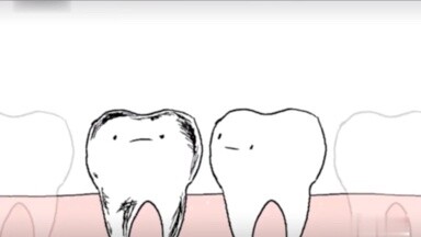 Same teeth, different fates