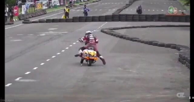 tikusruk dan bangkit lagi