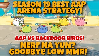 HOW TO COUNTER BACKDOOR & NO BACKDOOR BIRDS | S19 AAP AXIE ARENA STRATEGY GAMEPLAY