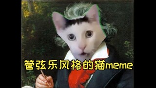 用管弦乐风格再现猫meme素材