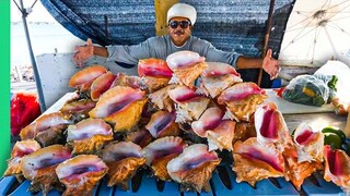 Bahamas ALIEN Seafood Boss!!! Why Do They LoVe This?!