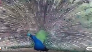 就像毛姆所說：" 無論在誰面前，只要你不欠他，就沒必要唯唯諾諾，你的軟弱，只會讓對方更加看不起你。你的心軟和不好意思，最終只會殺死自己，理性的薄情和無情才是在這個世界上的生存利器。"
