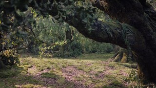 Sword And Beloved Episode 17 Eng Sub