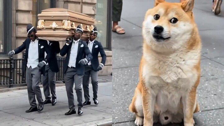 How many of these ancient internet memes can you still recognize? Turns out the MEME multiverse is r