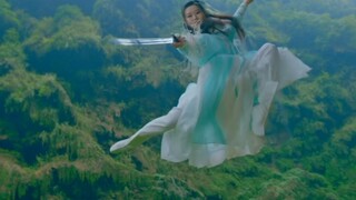 我也不想入坑，可是她会飞！会舞剑啊！