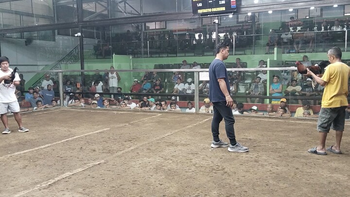 2ND FIGHT LOSS FANTASTIC COLISEUM