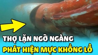 💥Phát hiện MỰC KHỔNG LỒ khi đang thám hiểm ĐÁY BIỂN khiến chàng trai ngỡ ngàng | TIN GIẢI TRÍ