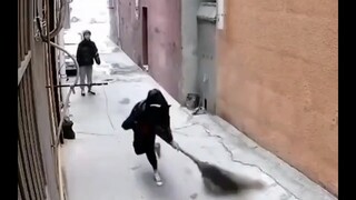 肾上腺素直接拉满了