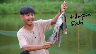 Caught a LOT of tilapia fish and made savory dishes for the family | Countryside Life Philippines