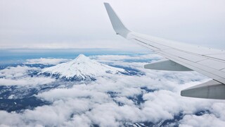 Full List of Official United Airlines Customer Service Contact Numbers IN USA: A Complete GUide