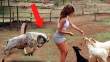 Incredible Things Caught On Camera 😱 #7