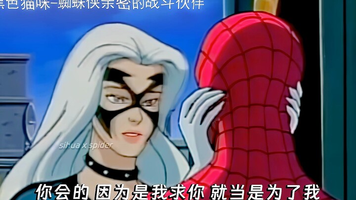 Spider-Man, you protect the city—let me protect you!